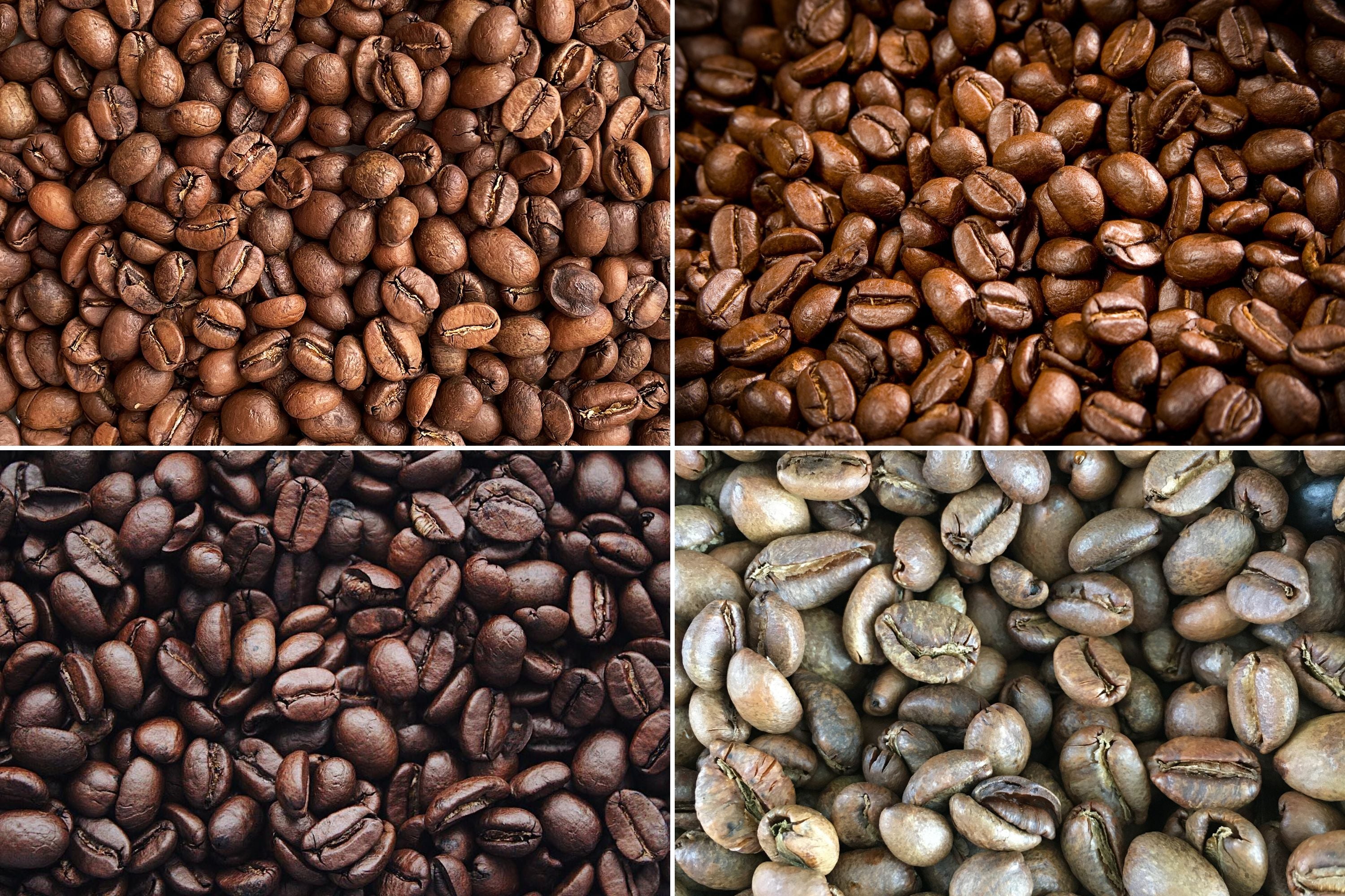 Exploring The Four Types Of Coffee Beans Coffee Bean Types Barista exploring-the-four-types-of-coffee-beans-coffee-bean-types-barista